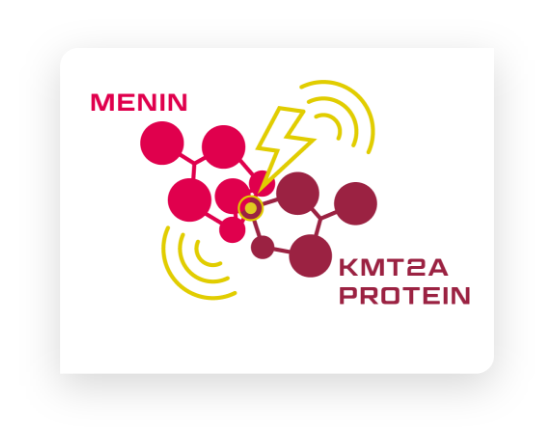 Menin-KMT2A Interactions